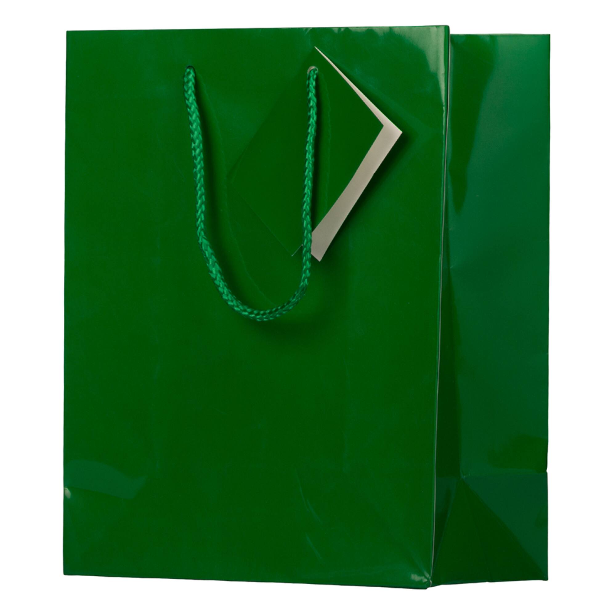 JAM Paper Medium Glossy Gift Bags